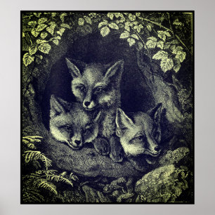 Vintage fox poster