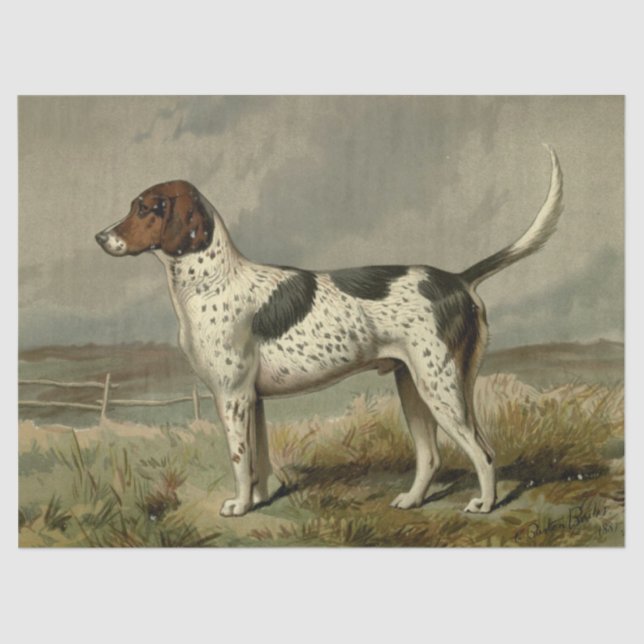 Vintage Foxhound Tissue Paper (Front)