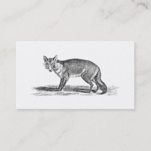 Vintage Foxy Fox Illustration - 1800's Foxes Business Card