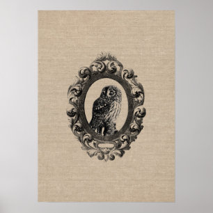 Vintage framed owl bird owls birds rustic chic poster