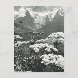 Vintage France, Chamonix "Mont Blanc" Postcard