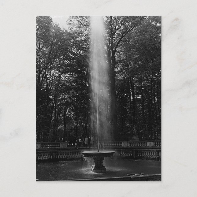 Vintage France Versailles Palace grove of Domes Postcard (Front)