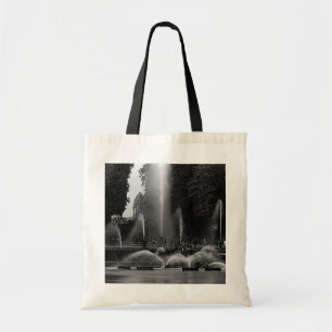 Vintage France Versailles palace neptune fountains Tote Bag