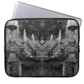 Vintage France Versailles palace Salle de Bal Lapt Laptop Sleeve