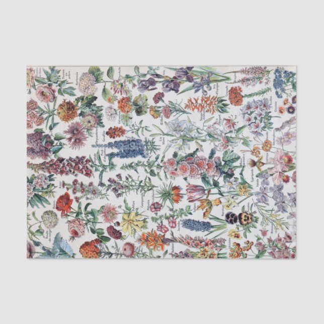 Vintage French Adolphe Millot Flowers Tissue Paper (Front)