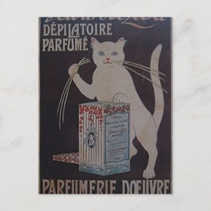 Vintage French Advertisement - cats Postcard