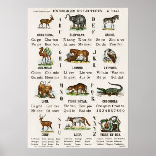 Vintage French Alphabet And Numbers Poster
