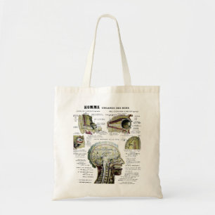 Vintage French Anatomy Bag