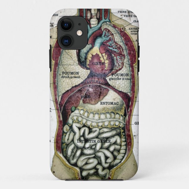 Vintage French Anatomy Case-Mate Case (Back)
