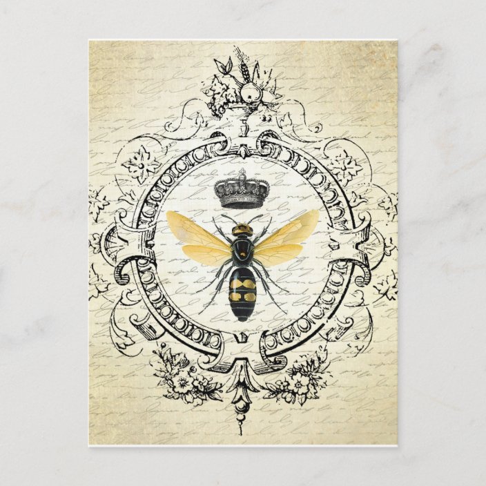 Vintage French bee postcard | Zazzle.co.uk