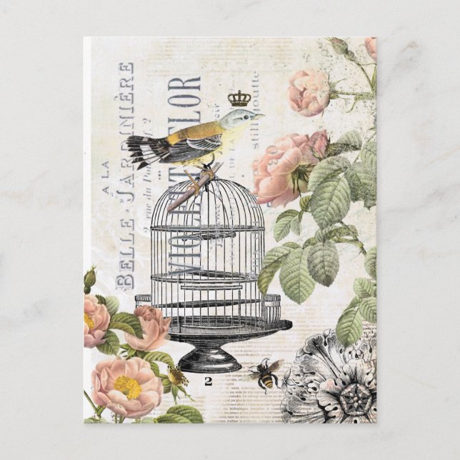 Vintage French bird postcard (Front)