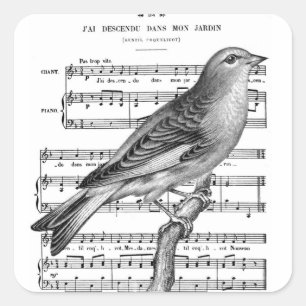 Vintage French Bird Song Music Square Stickers