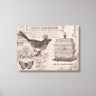 Vintage French Bird stretched canvas Print