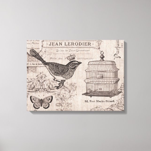 Vintage French Bird stretched canvas Print (Front)