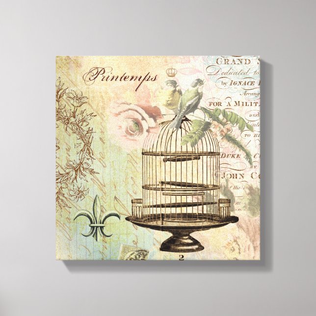 Vintage French birdcage stretched canvas (Front)