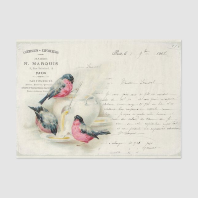Vintage French Birds and Love Letters Tissue Paper (Front)