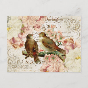 Vintage French Birds postcard