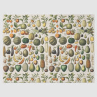 Vintage French Botanical Fruit Poster Art