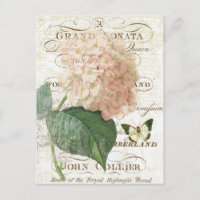 Vintage French Botanical hydrangea postcard