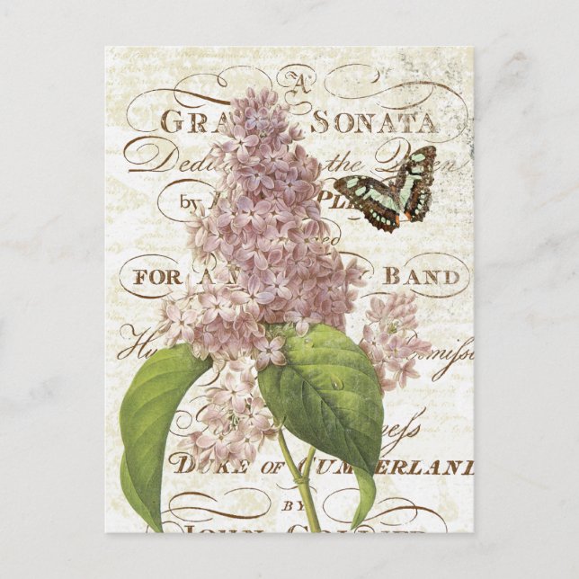 Vintage French Botanical lilac postcard (Front)
