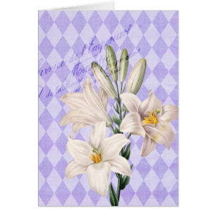 Vintage French Botanical Lilies