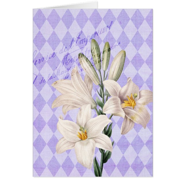 Vintage French Botanical Lilies (Front)