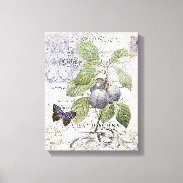 Vintage French Botanical Plum stretched canvas (Front)
