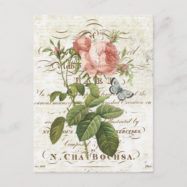 Vintage French Botanical rose postcard (Front)