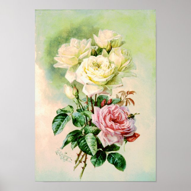 Vintage French Bridal Roses Poster (Front)
