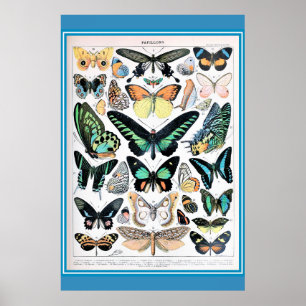 Vintage French Butterflies Cottagecore Poster