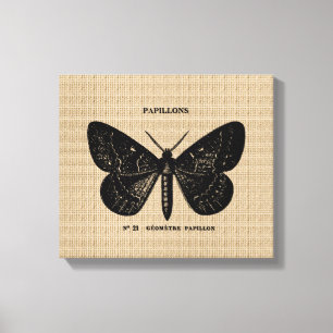 Vintage French Butterfly on Canvas