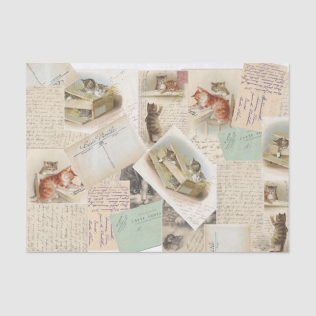 Vintage French Cat Postcard Tissue Paper (Front)