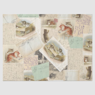 Vintage French Cat Postcard Tissue Paper (Large)