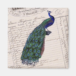 Vintage French Chic Blue Peacock Magnet