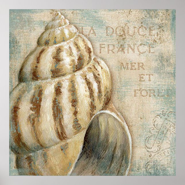 Vintage French Conch Shell Poster (Front)