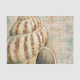 Vintage French Conch Shell Tissue Paper