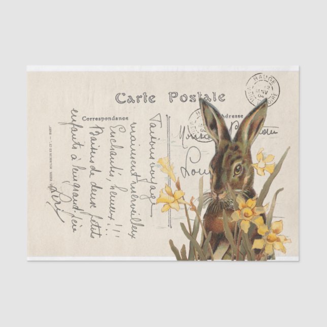 Vintage French Easter Rabbit Daffodil Postcard Tissue Paper (Front)
