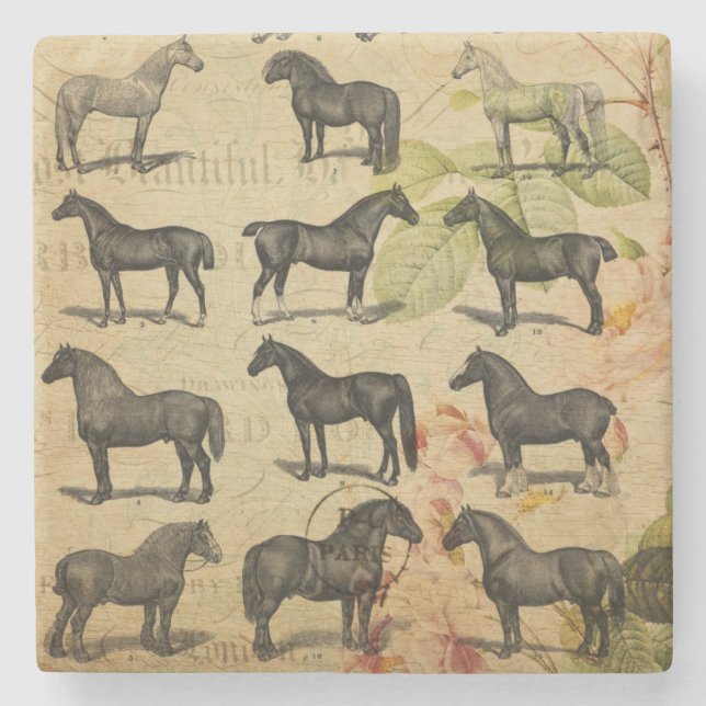 Vintage French Horse Stone Coaster (Front)
