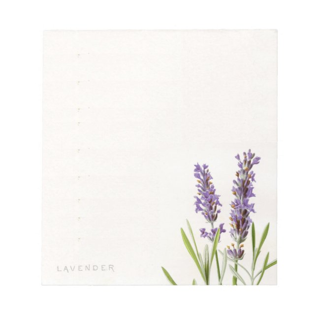 Vintage French Lavender Notepad (Front)