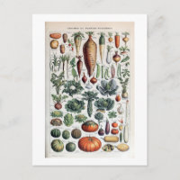 Vintage French Legumes et Plantes Potageres