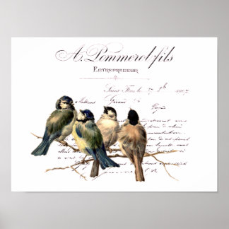 Vintage French Letter and Birds Poster