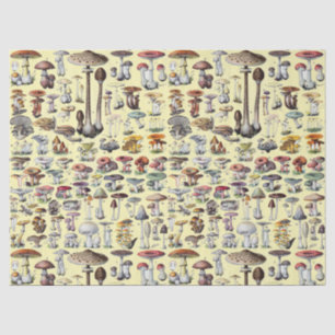 Vintage French Mushroom Cottagecore Botanical Art Tissue Paper