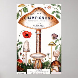 Vintage French Mushrooms Illustration Poster