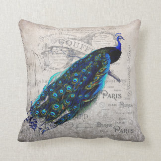 Vintage French Parisian Peacock Art Cushion