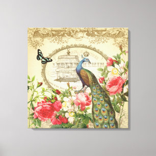 Vintage French Peacock  stretched canvas