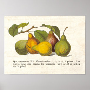 Vintage French Pears Country Kitchen Decor
