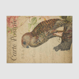 Vintage French Postcard Owl on Branch Decoupage Tissue Paper