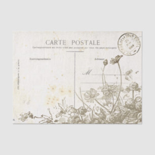 Vintage French Postcard Wildflower Tissue Paper
