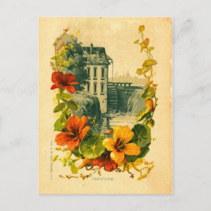 Vintage French scenic/nasturtium postcard