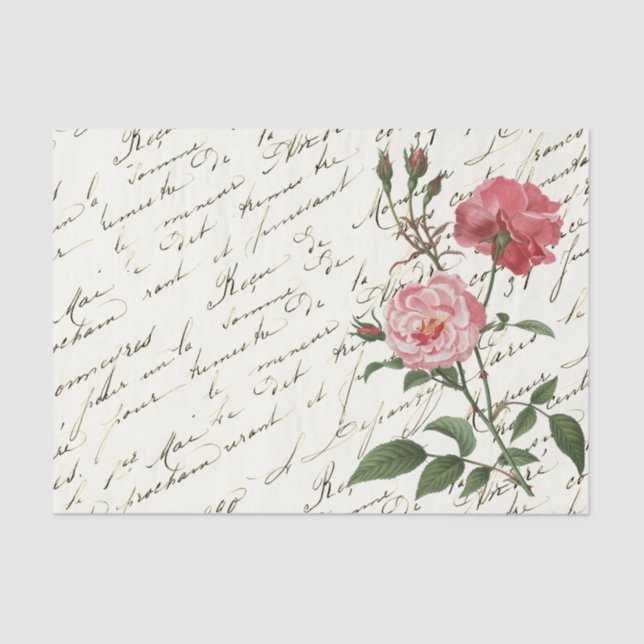 Vintage French Script Pink Roses Tissue Paper (Front)